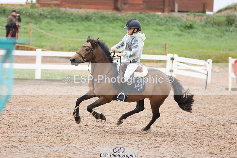 240630A-101119-11766 - Cls 30 British Novice and 80cm Open