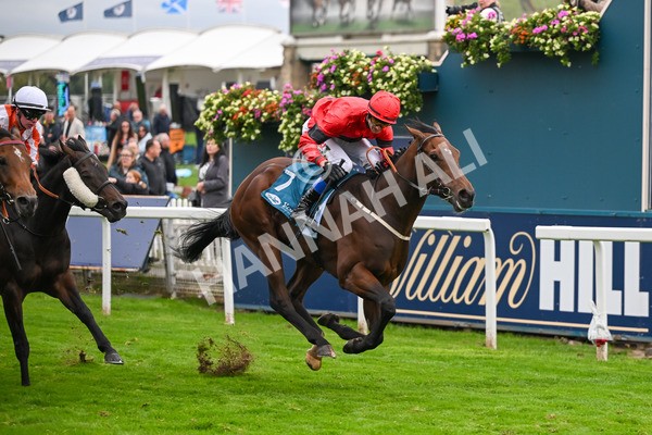 101025-Race 6-Dan Tucker-7088 - Race 6 Copper Knight Winning-Most Horse Handicap at York