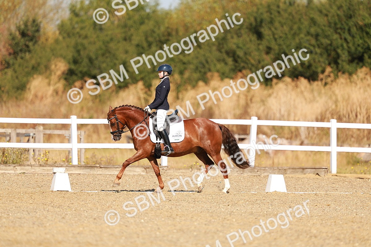 SBM_016818 - Class 9 - N5 Bronze 9.30.10.19