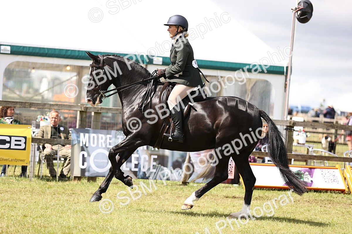 SBM_14542 - Class 88-89 - LIHS BSHA Rising Star of Ridden Hunter Type