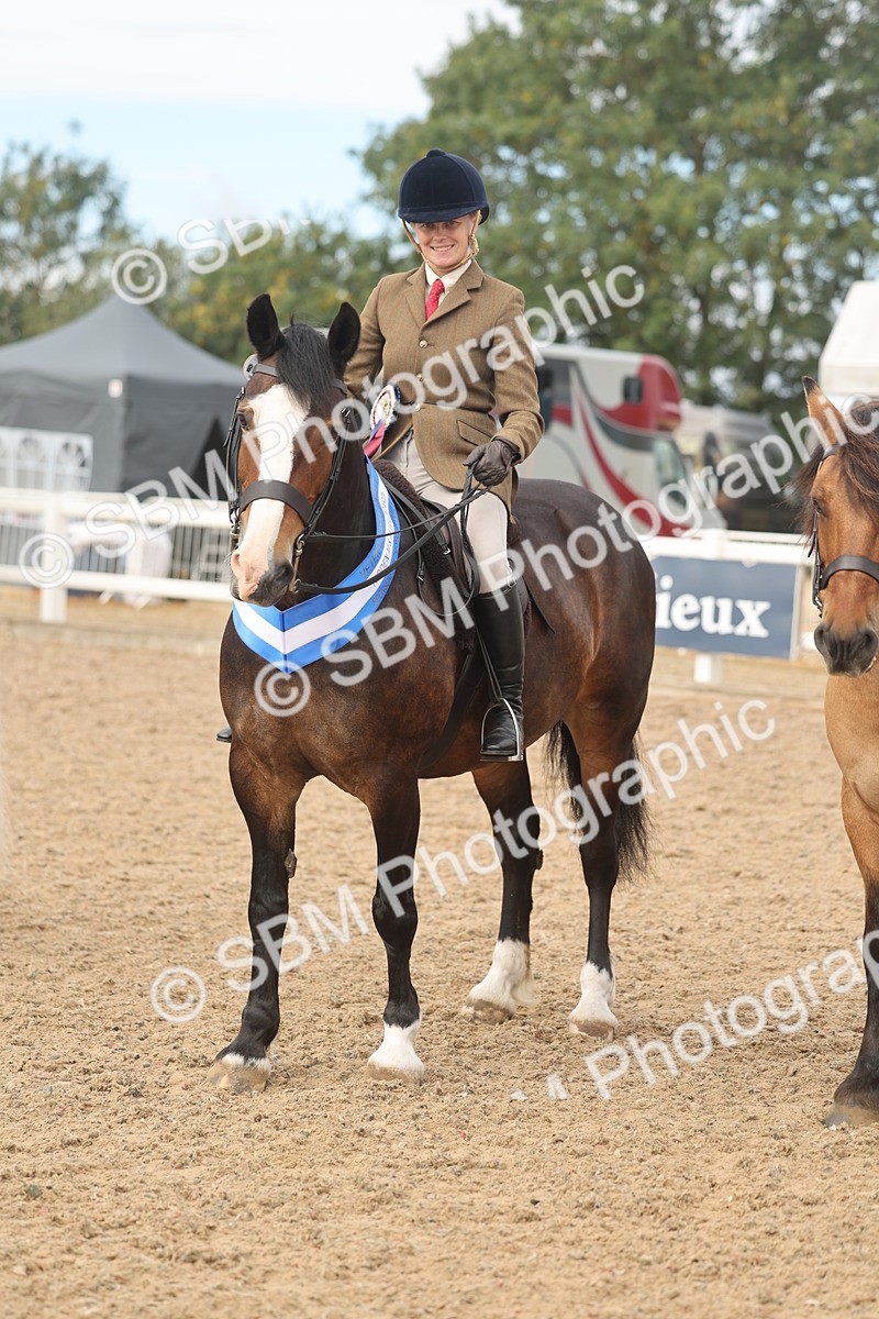 SBM_02023_Class 14 - Ridden MM Wildcard - Sommerfield