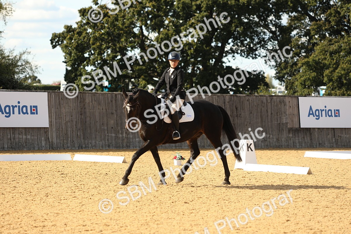 SBM_26658 - D17 - Grand Tour Championship - Novice 27