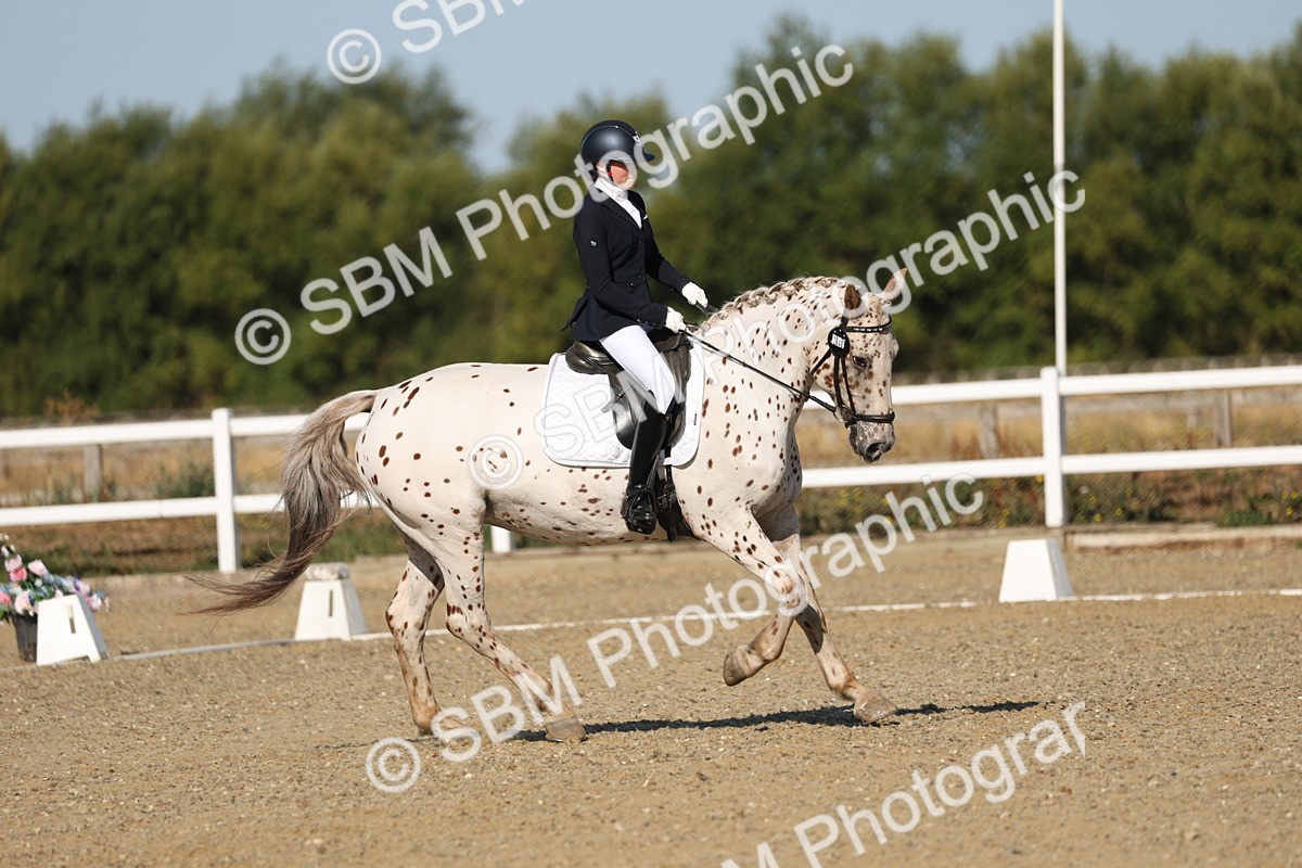 SBM_012673 - Class 1 - P5 Bronze 9.00.10.12