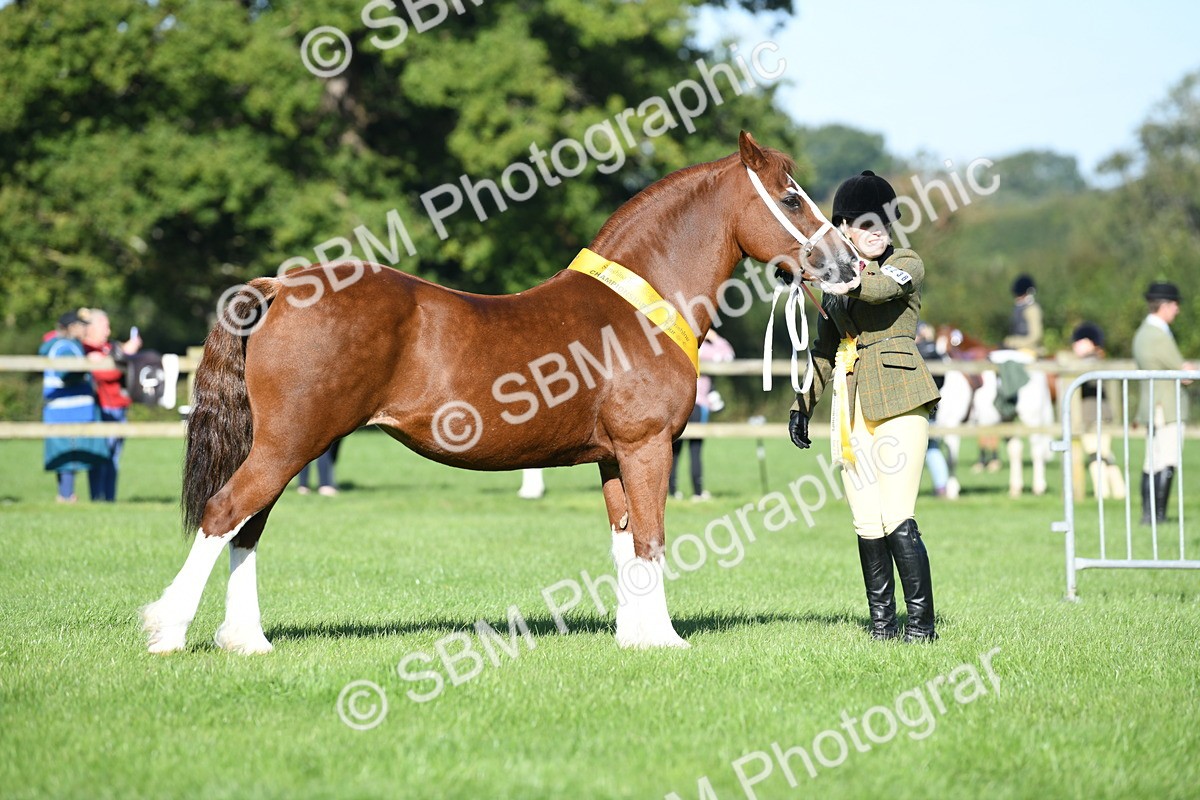 SBM_35561 - Top Turnout Supreme Championship
