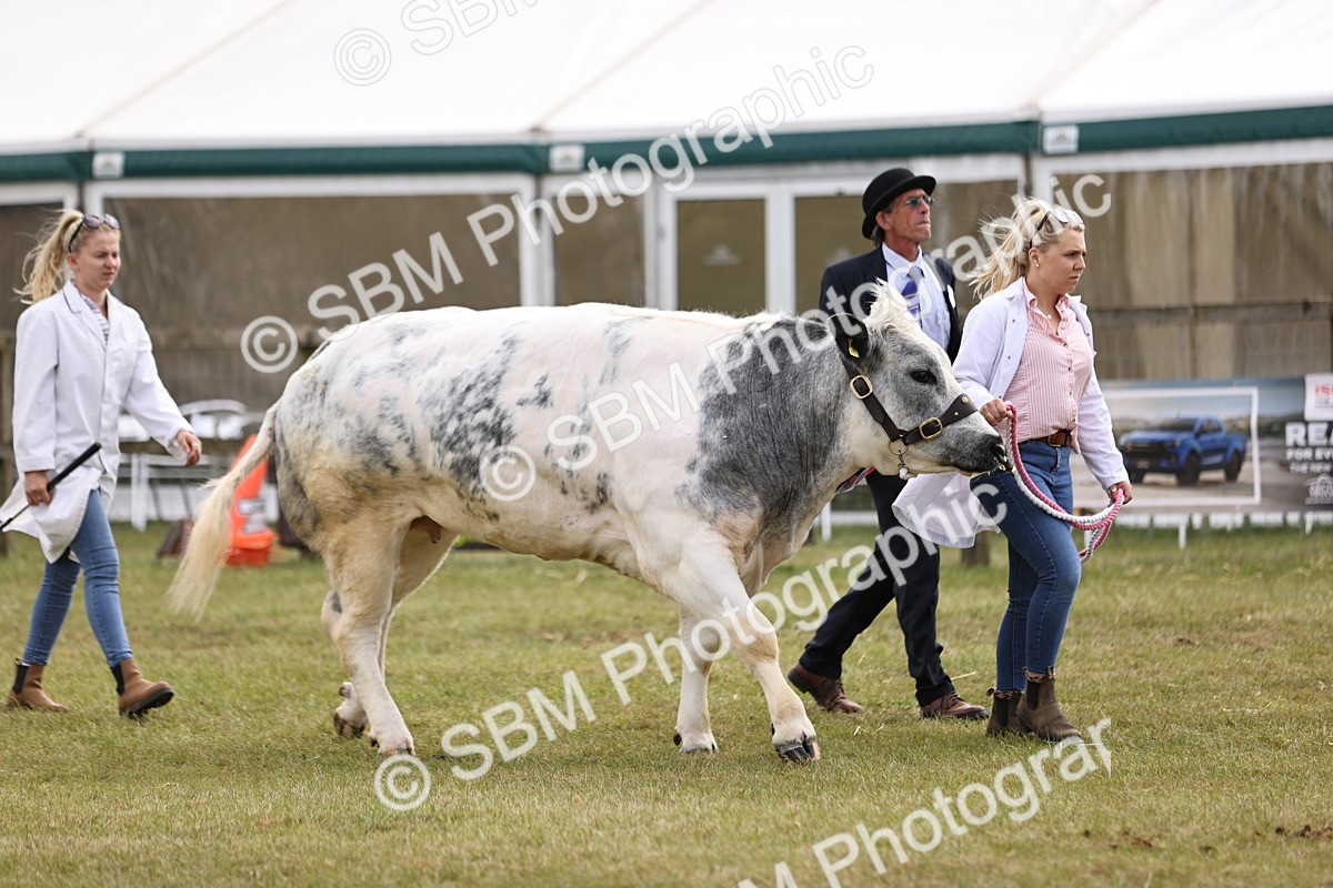SBM_16908 - Grand Parade