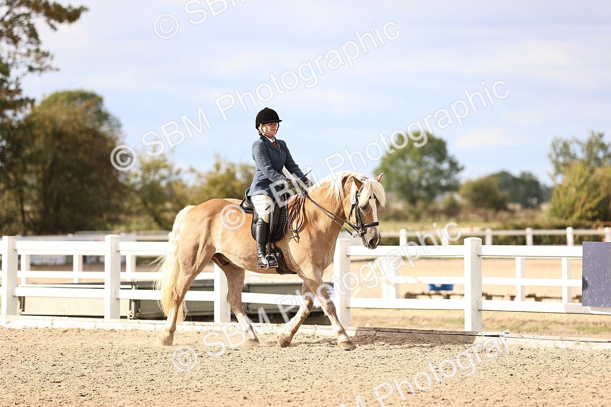 SBM_18149 - Class 423 - Equitation (best rider) Adult