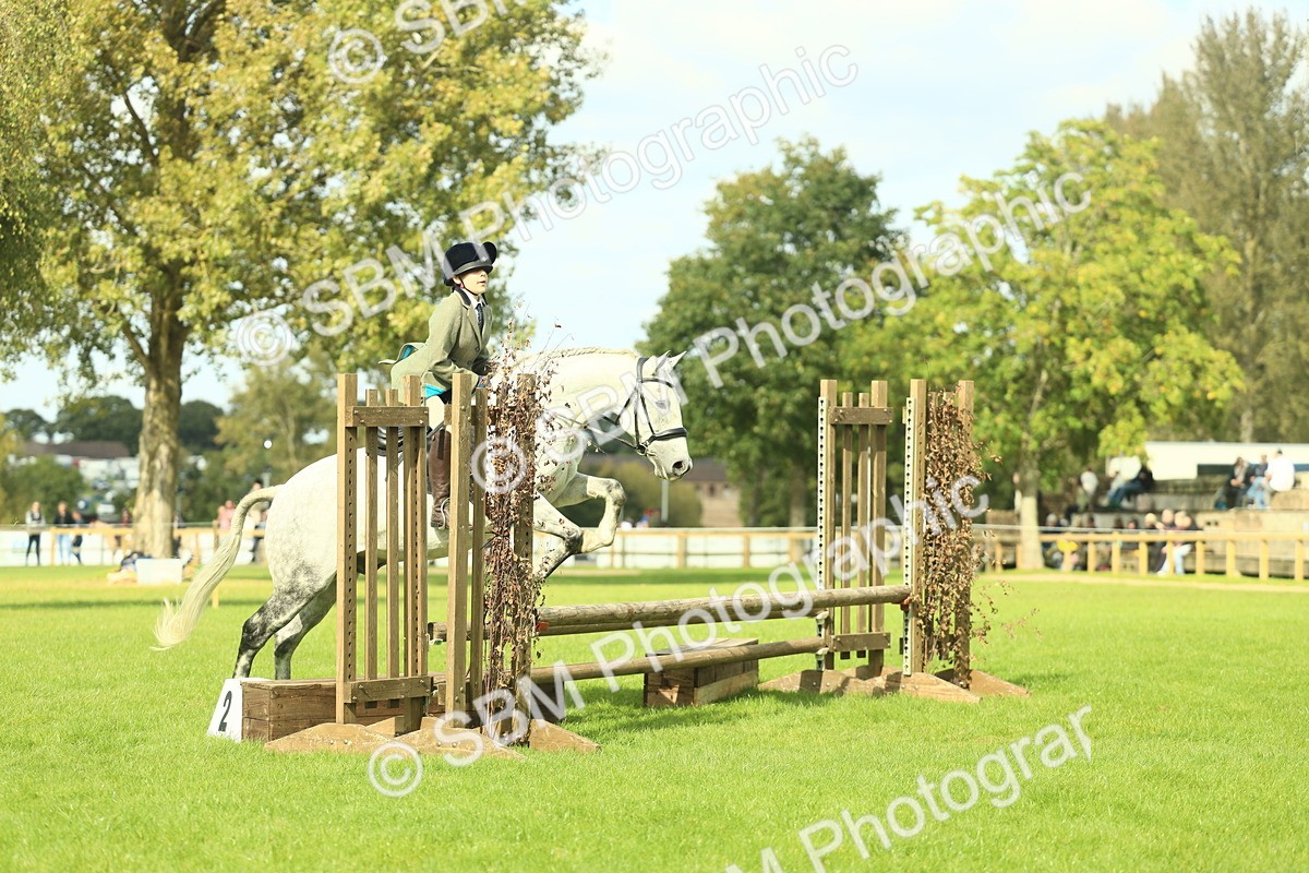 SBM_47999 - S32 - Novice & Newcomers Working Hunter