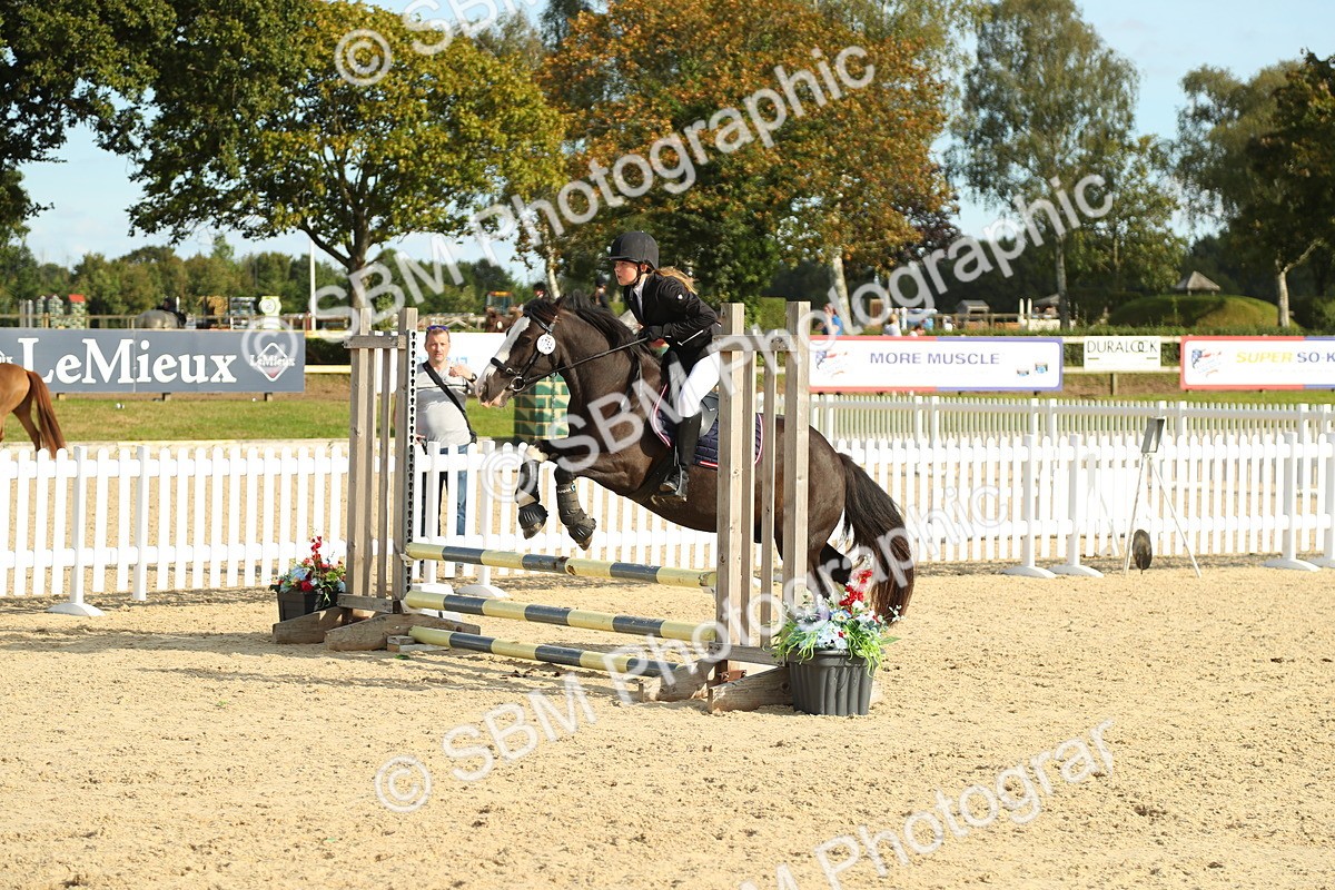 SBM_51615 - J7 - Junior Pony 60cm Championship