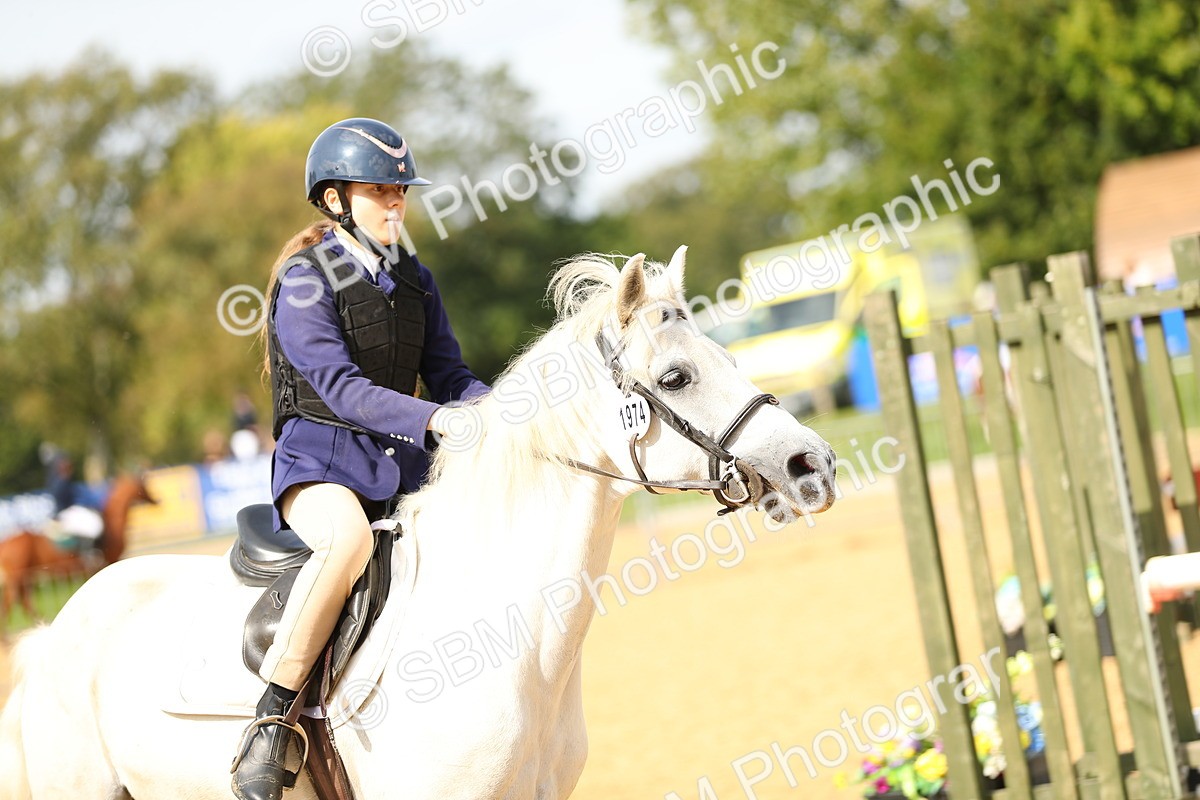 SBM_66036 - J17 - Junior Pony 80cm Championship