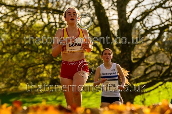 NatRel25-913612 - Young Female Set Two