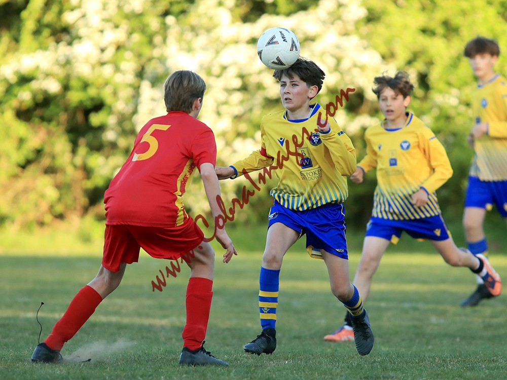 0121_1DXL - Farnborough OBG Under 13s Mustangs 0  Tulse Hill U13s 0