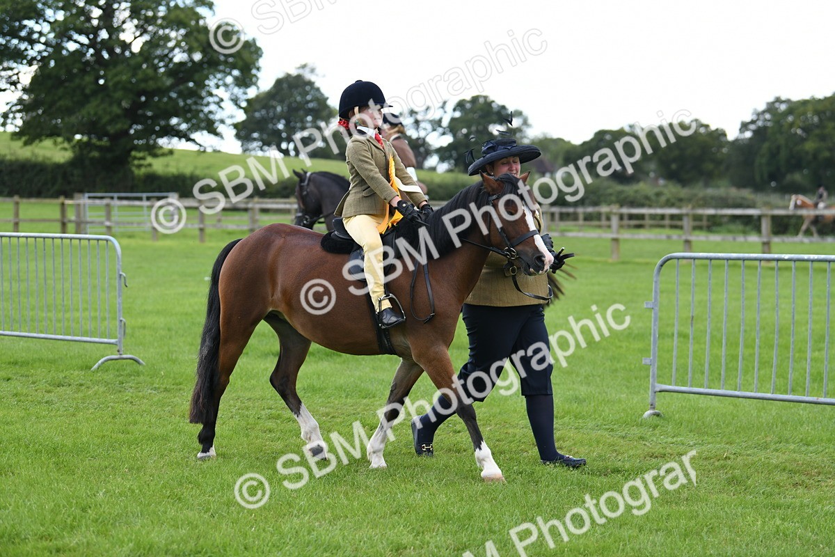 SBM_42720 - S20 - Lead Rein Mountain & Moorland Pony