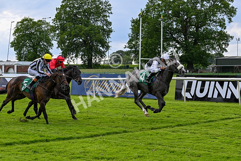 050626-Race 7-Daizen-3855 - Race 7 17.20pm Next Meeting Tuesday 16th June Featuring Royal Ascot Handicap