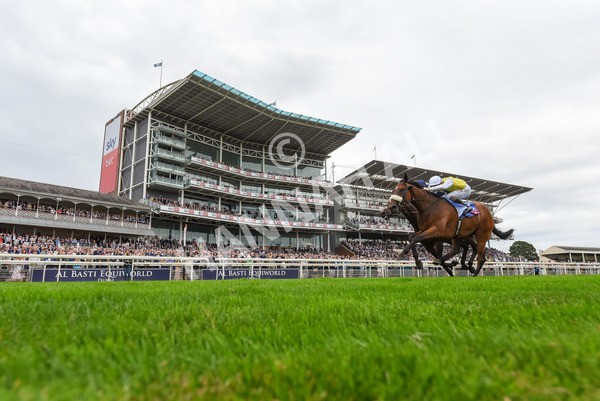 230823-Race 5-Forza Orta-1029 - Race 5 4.10pm Sky Bet Stayers Handicap
