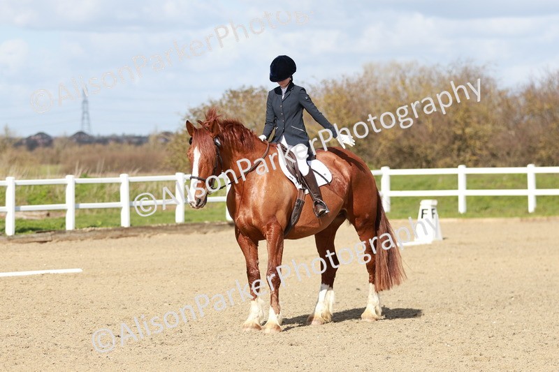 20260314-2939 - DR3 - Prelim 1