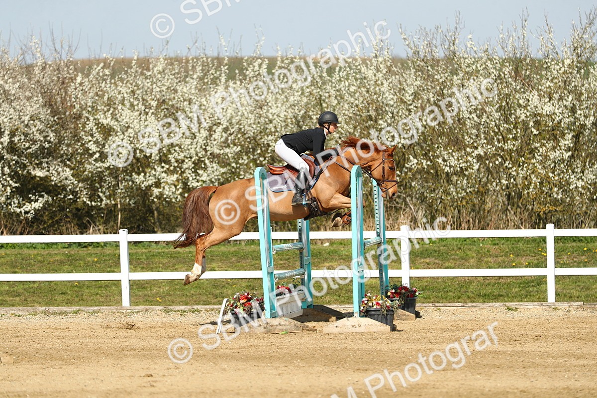 SBM_002856 - Class 11 - Senior Foxhunter - 1.20m