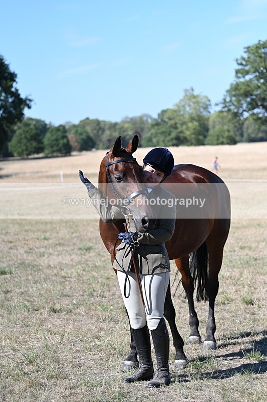 WJ7_1870 - Class 43 Best Six Legs (In hand)