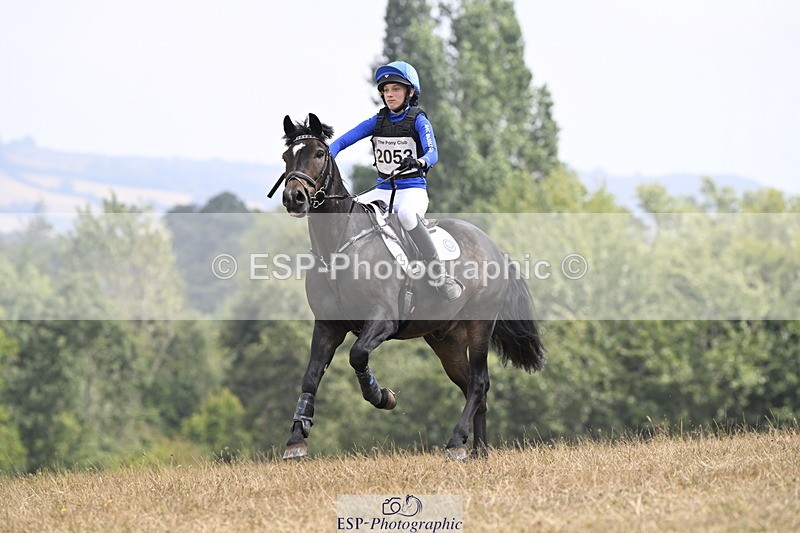 250824A-125818-36574 - 2053-Ava.Sampson-Chameleon