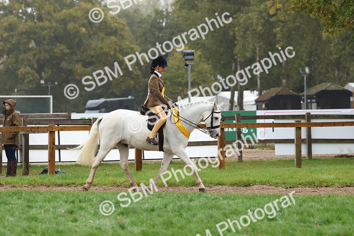 SBM_73115 - Ridden Pony Supreme Championship