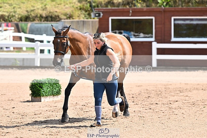 240718A-105240-01007 - Trot Up 11am to 12pm