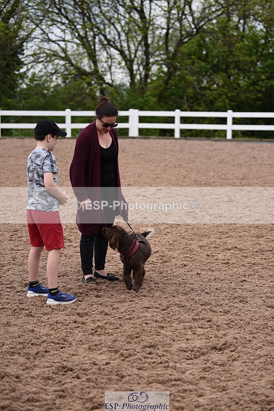 240518A-122138-01126 - Cls 4 Best Crossbred