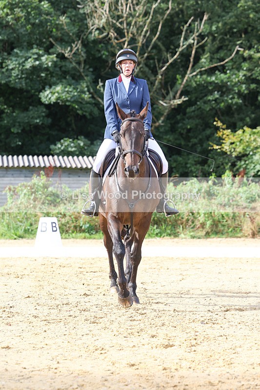 3E7A2170 - Class 1: Intro 4 2024 section A