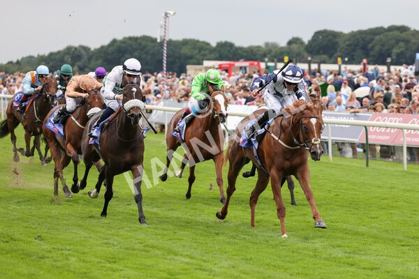 yr19082021r1-21 - Race 1 1.50pm Sky Bet Lowther Stakes
