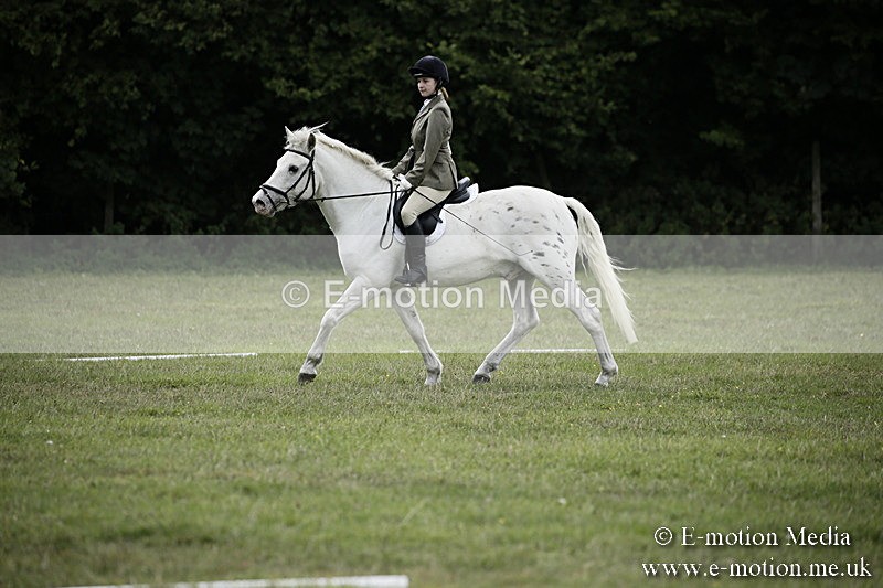 BVR080918 354 - BVRC Novice Dressage & CR 08/09/18