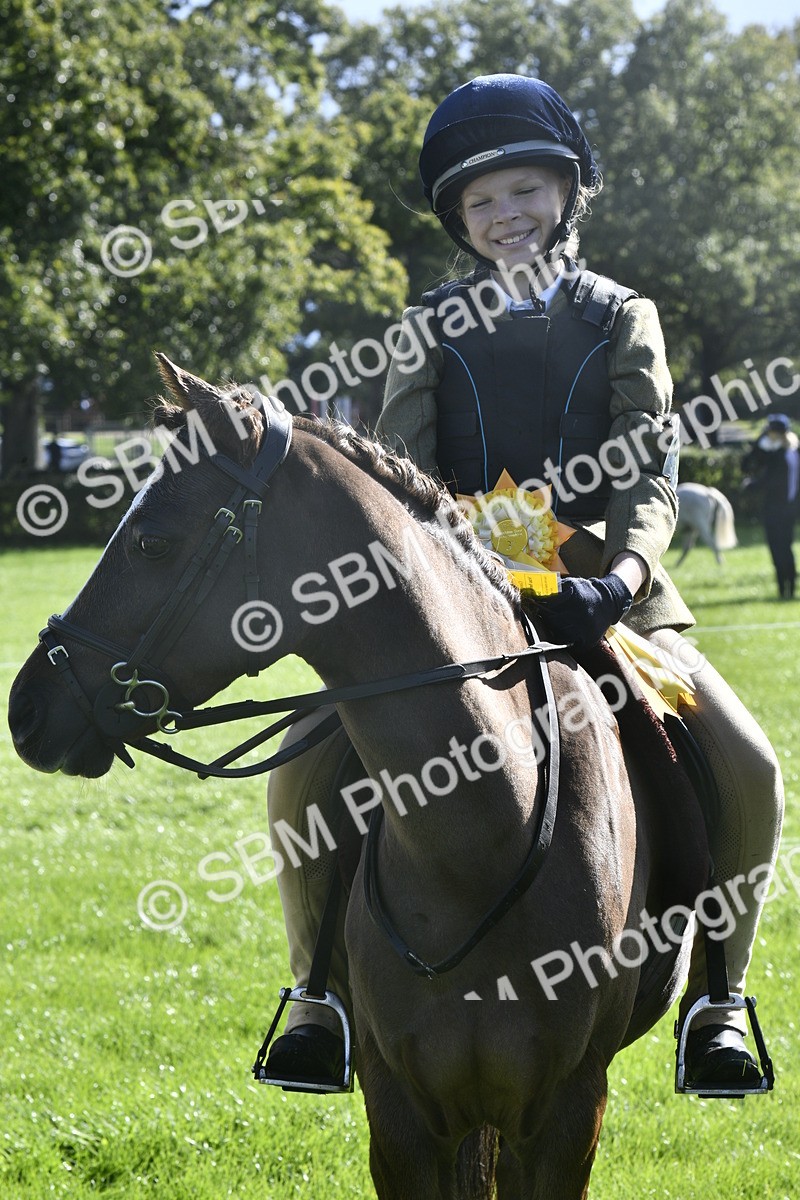 SBM_37237 - S31 - Novice & Newcomer Working Hunter Pony