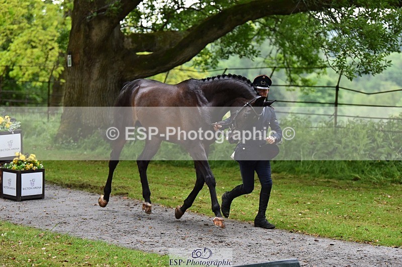 240522-162436-00895 - 205-BENOIT_BOLD-Felix_Etzel