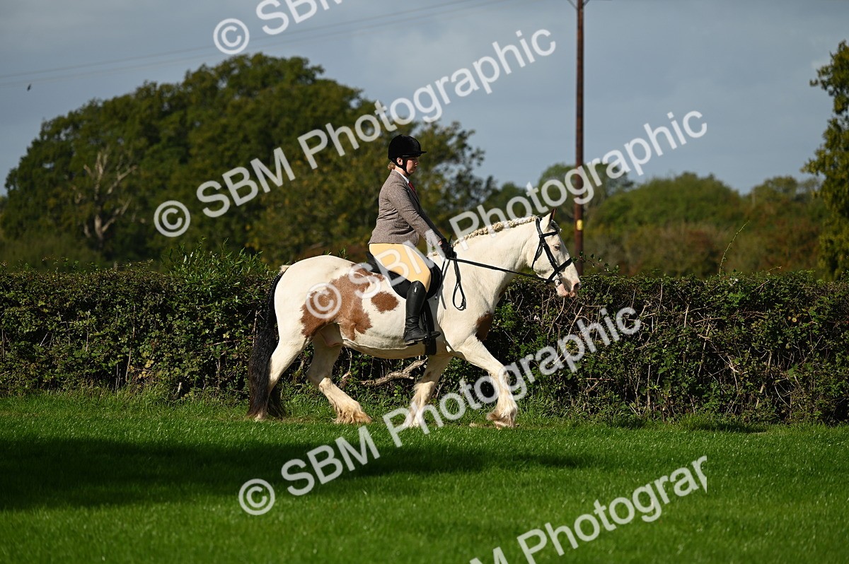 SBM_01284 - S2 - TSR Ridden Horse Showing