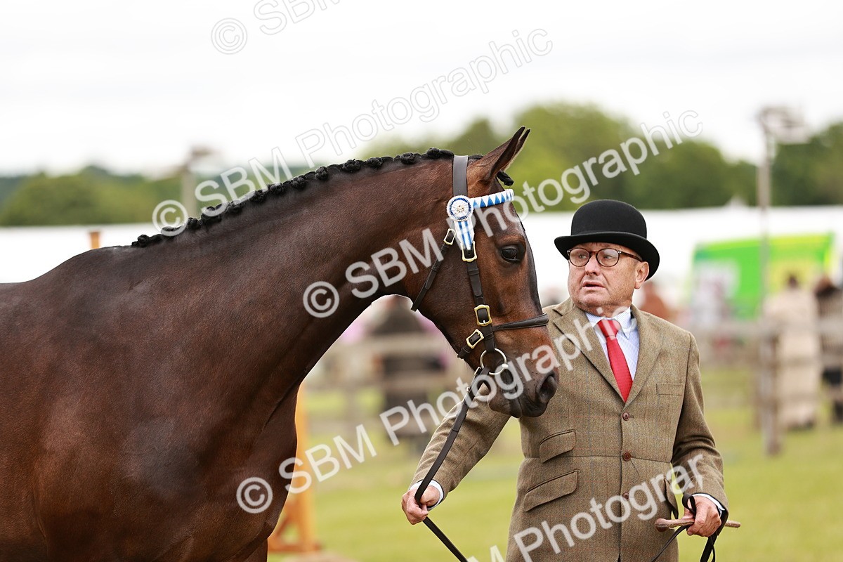 SBM_04768 - Class 35-38 Riding Horse Breeding