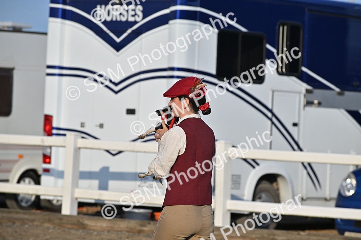 SBM_09464 - Lorry Dogs