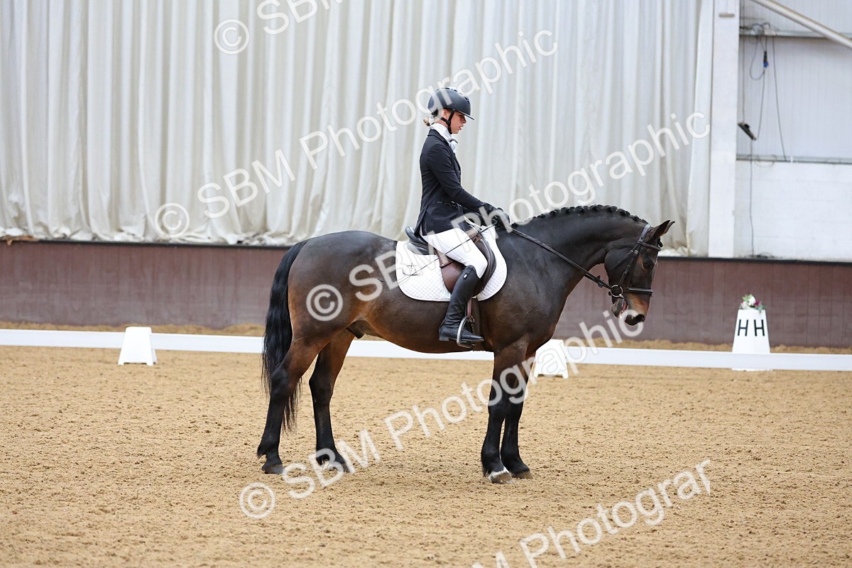 SBM_002737 - Novice