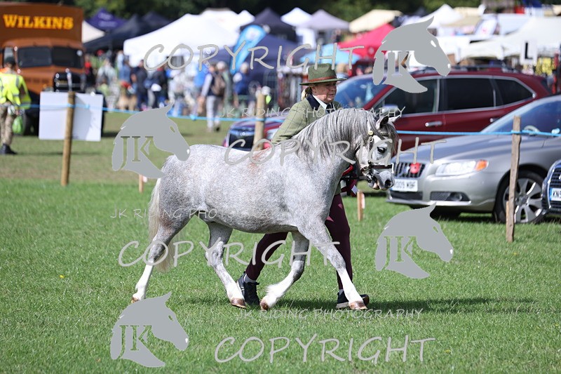 APP_3011 - Class 10a/b M&M in hand