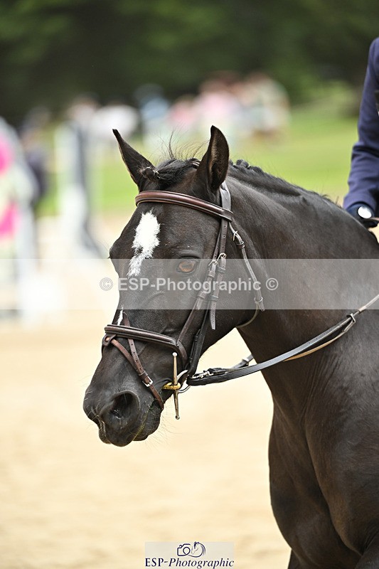 240822X-133127-06496 - 50cm R1 13.00 to 14.00