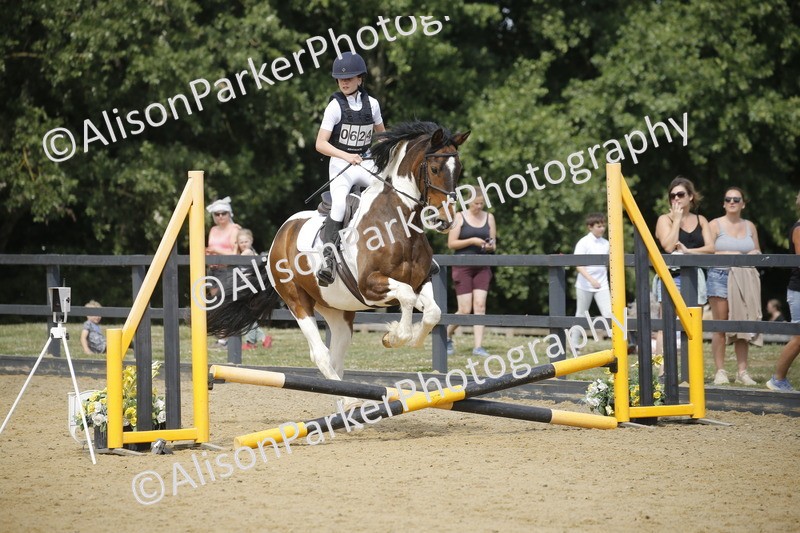 20250622-3878 - 50cm