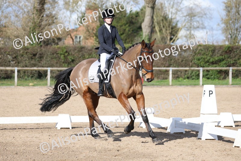 20260228-0775 - Class 5 - Novice 2