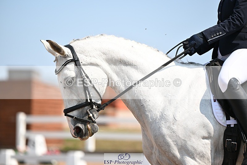 250816-125241-04584 - 075-Jackie.LimintonSaddlewood.Surprise