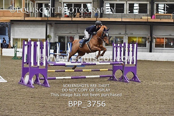 BPP_3756 - FRI CLASS 21 BR NOVICE/90CM