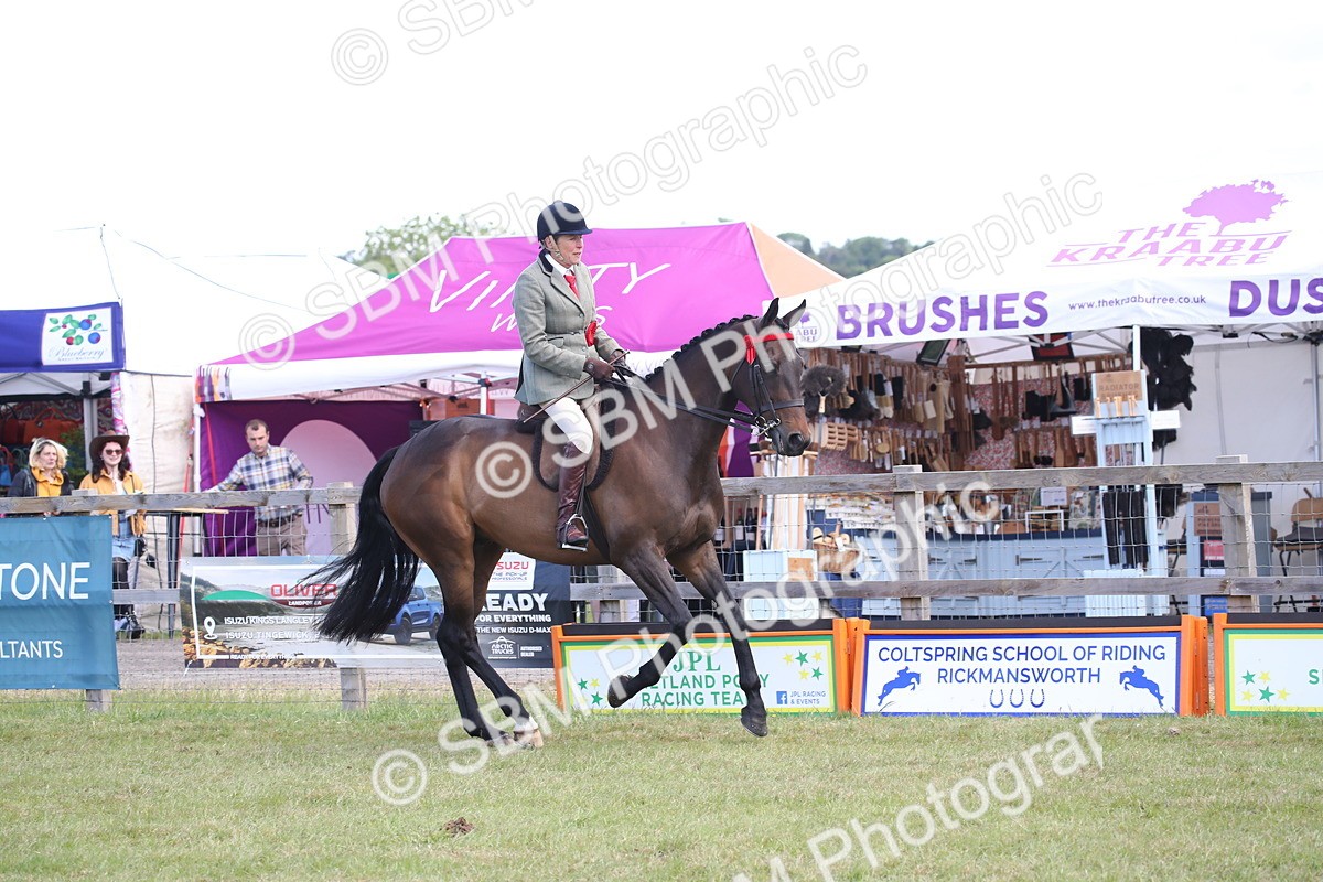 SBM_13283 - Class 95-96 - LIHS BSHA Rising Star Hack Riding Horse