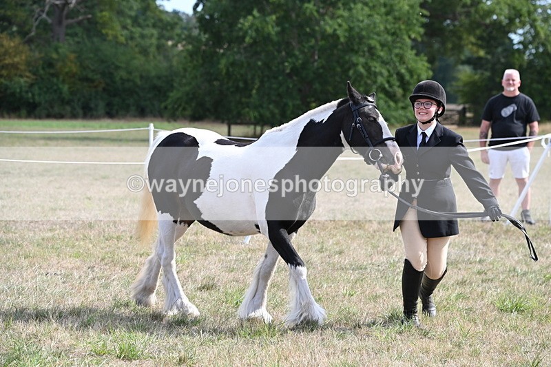 WJ6_6625 - Class 20 In-hand Cob