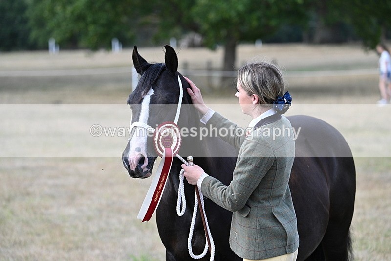 WJ7_8377 - In-hand Championship