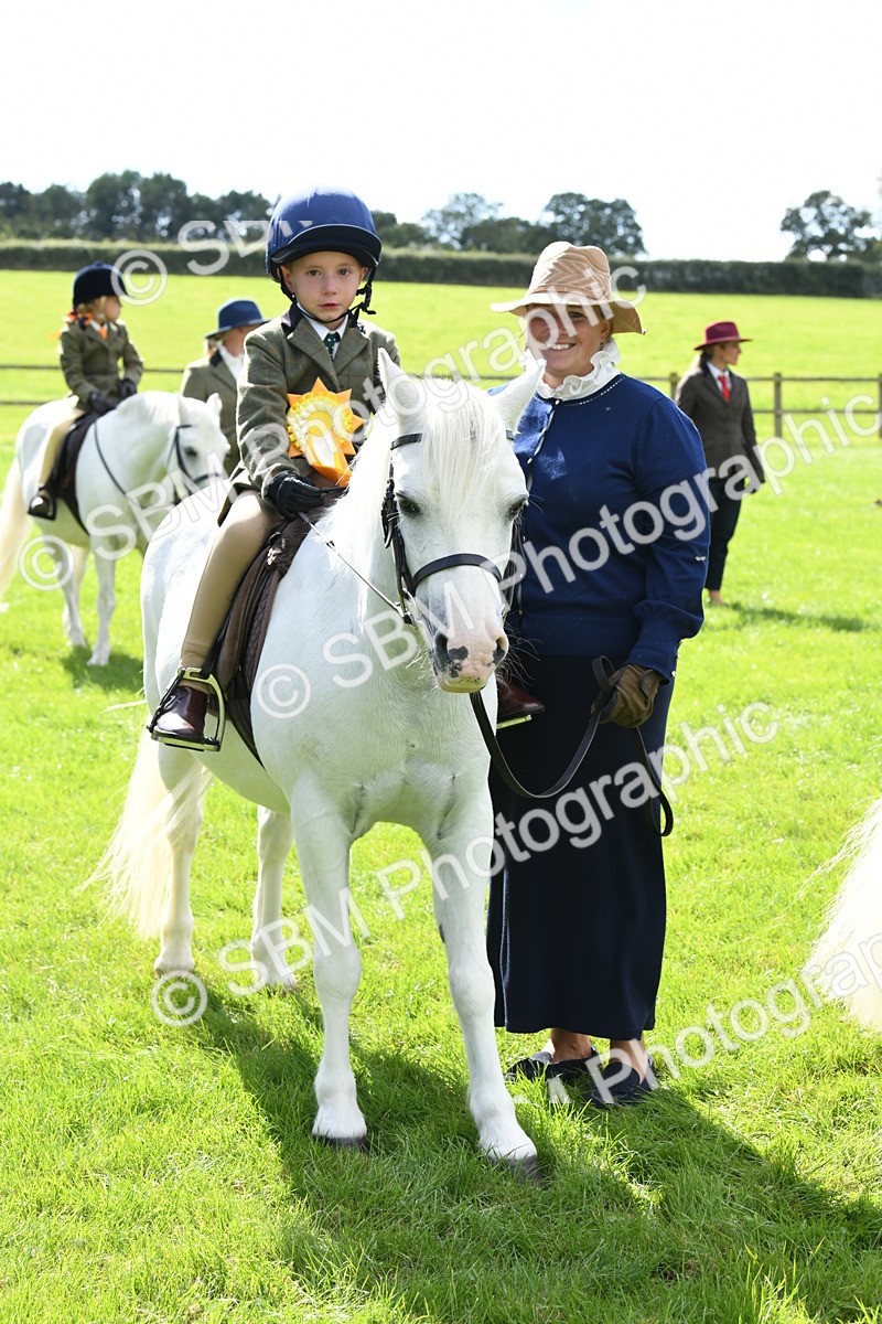SBM_42660 - S20 - Lead Rein Mountain & Moorland Pony