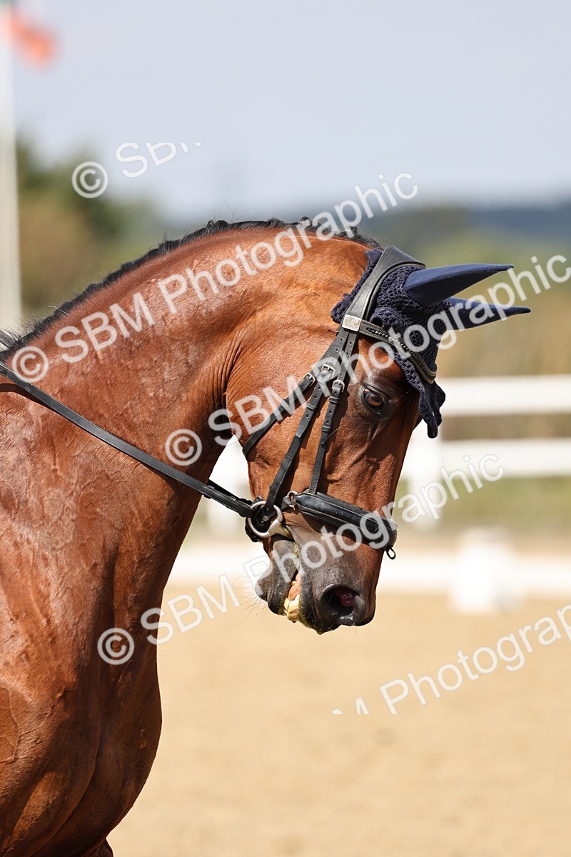 SBM_018678 - Class 16 - Novice 5 - 12.08-13.11