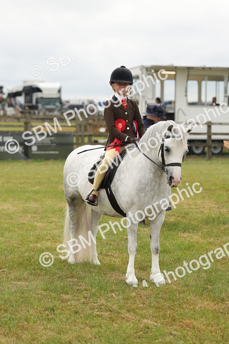 SBM_06955 - Class 74-75 - M&M Lead Rein and First Ridden Pony