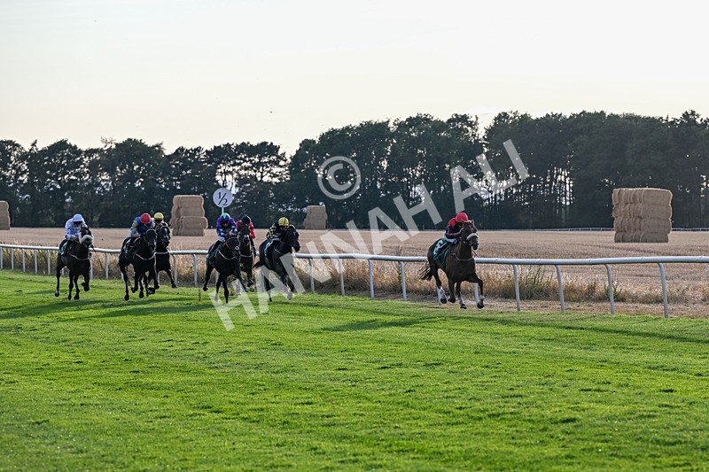 140826-Race 4-Raging Raj-1285 - Race 4 19.18pm Andrew Seaton Celebration Cup Handicap