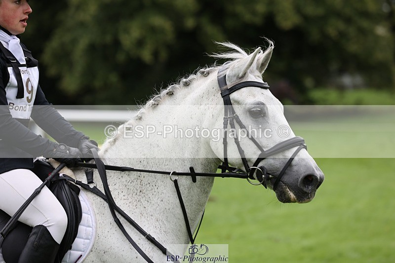 230805-113847-00931 - SJ 11 to 11.55