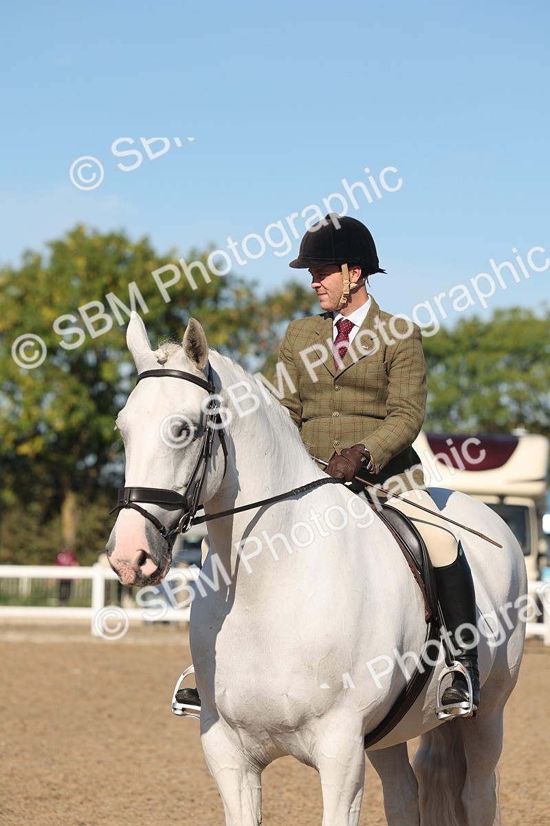 SBM_12237 - Class 303 - Ridden Pure Bred Horse Pony