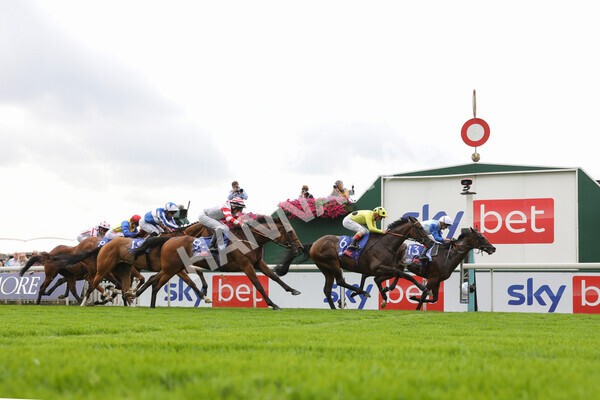 yr20082021r1-26 - Race 1 1.50pm Sky Bet Stakes